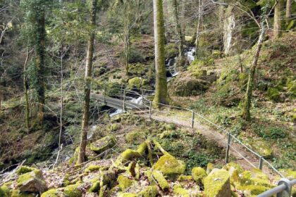 Hochrhein-Hotzenwald-Weg – Baden-Württemberg mit den Rad erkunden