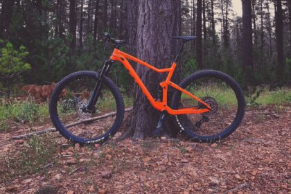 Scott Ransom 2019 – Mountainbike Race Enduro im Härtetest