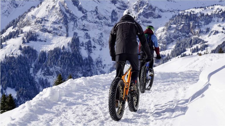 Fatbike