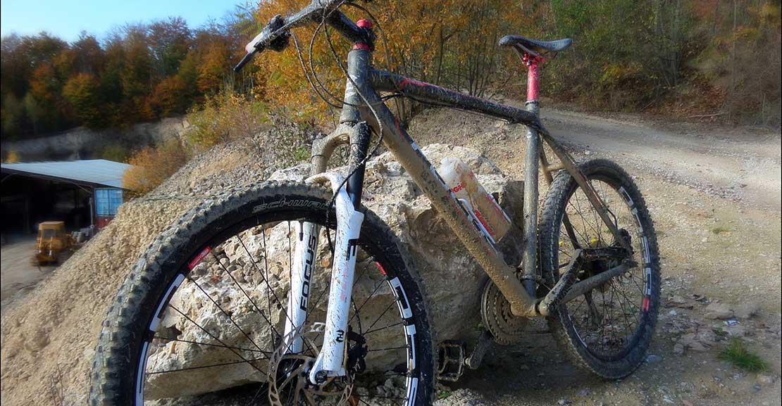 Focus Bike