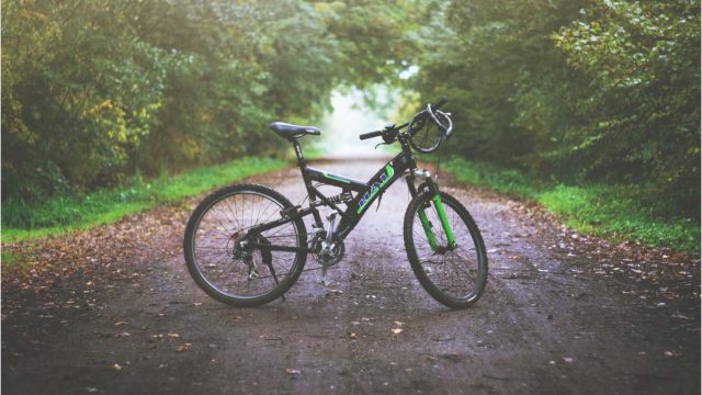 Mountainbikes – Alleskönner im Gelände
